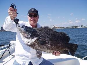 22 Lb Triple Tail Inshore Palm Beach, Berkley Gulp